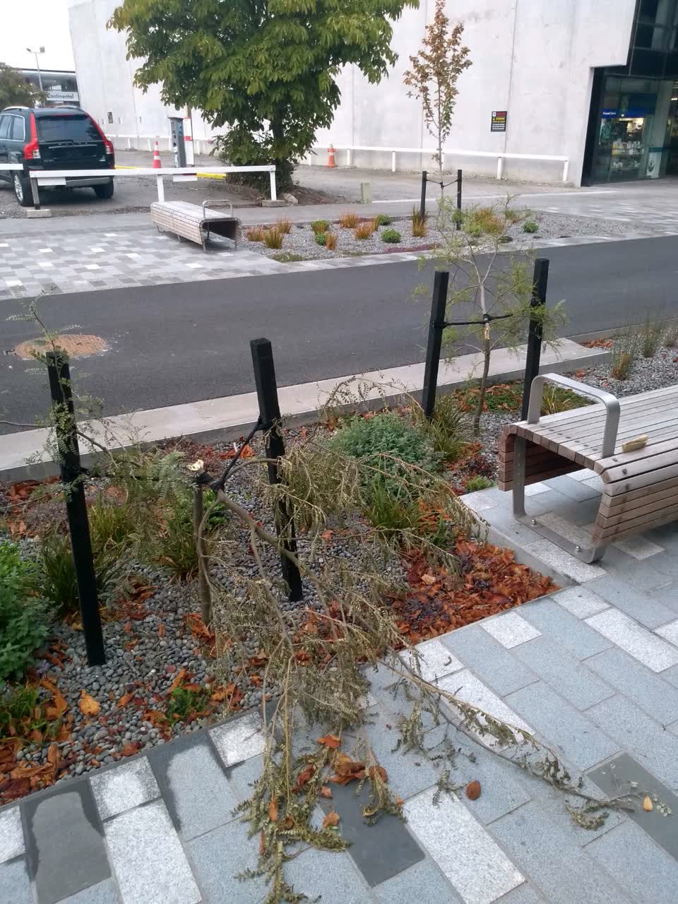 The photograph attached to this parks report
