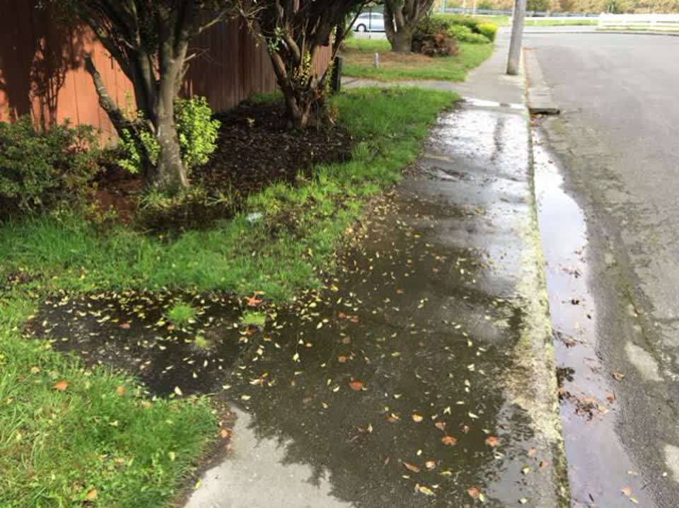 The photograph attached to this water supply report