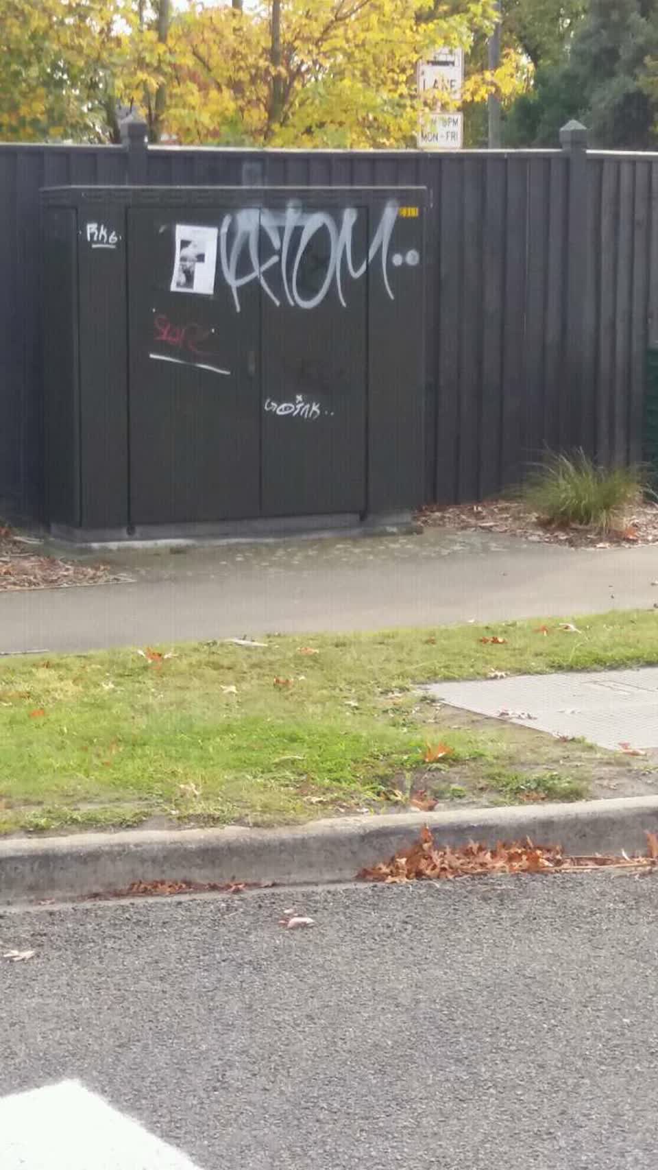 The photograph attached to this graffiti report