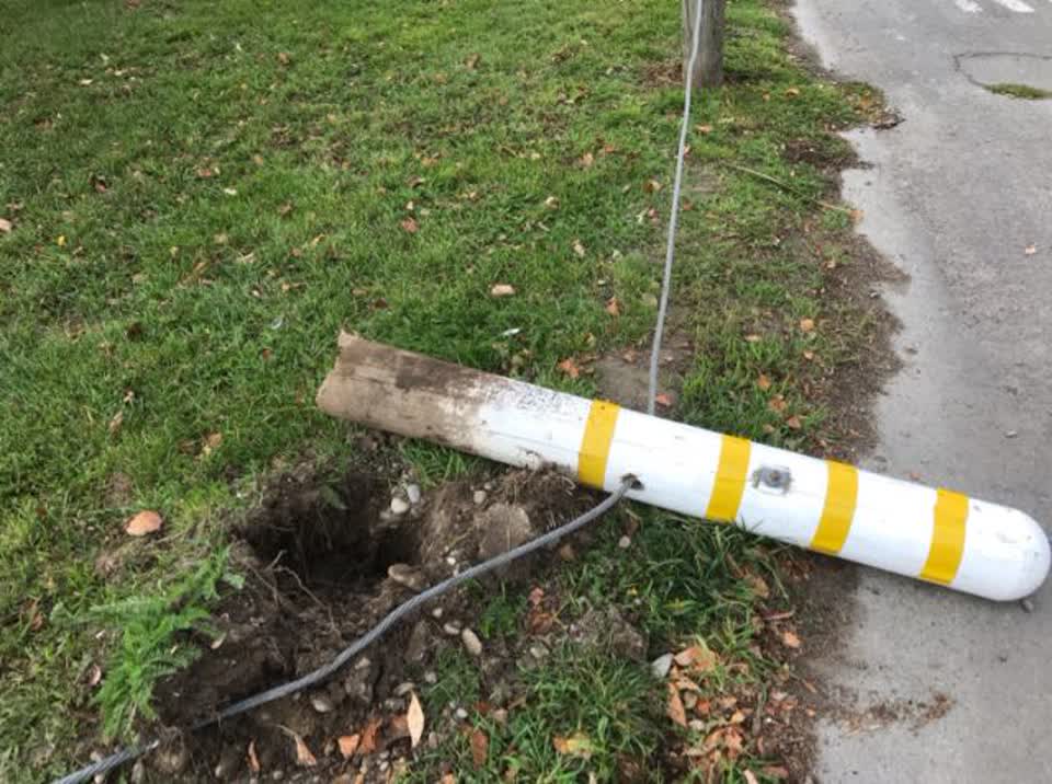 The photograph attached to this parks report