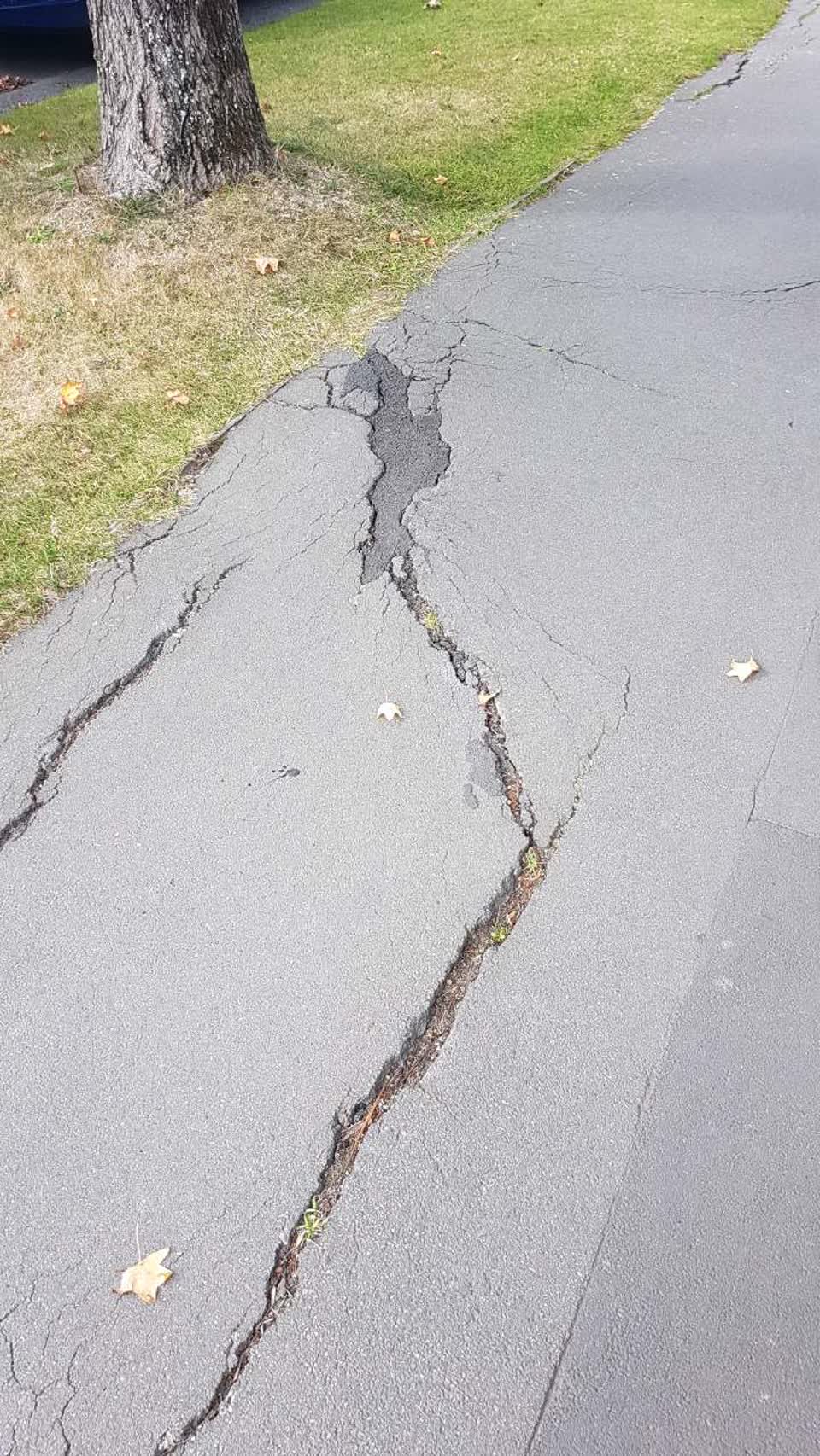 The photograph attached to this roading/streets report