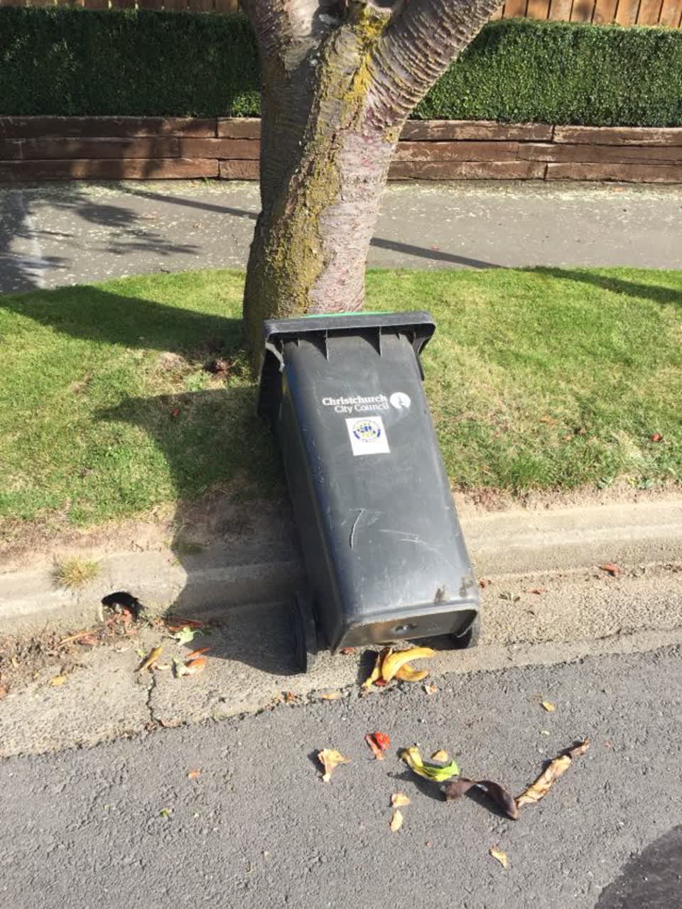 The photograph attached to this rubbish/recycling report