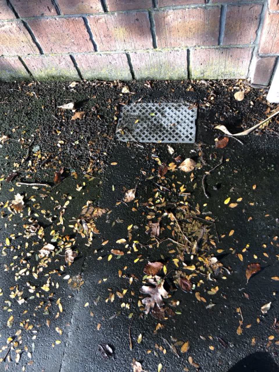 The photograph attached to this water supply report