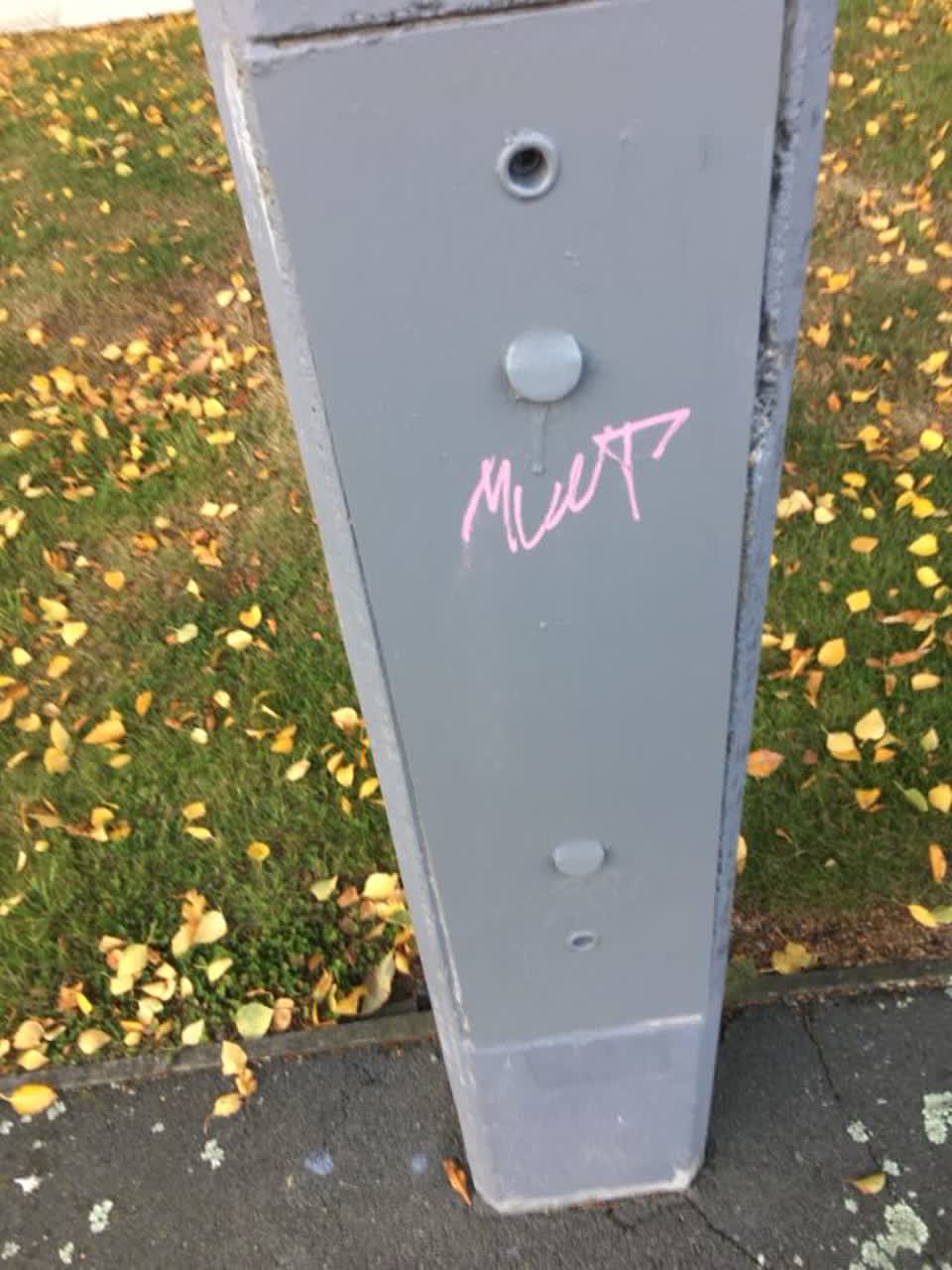 The photograph attached to this graffiti report