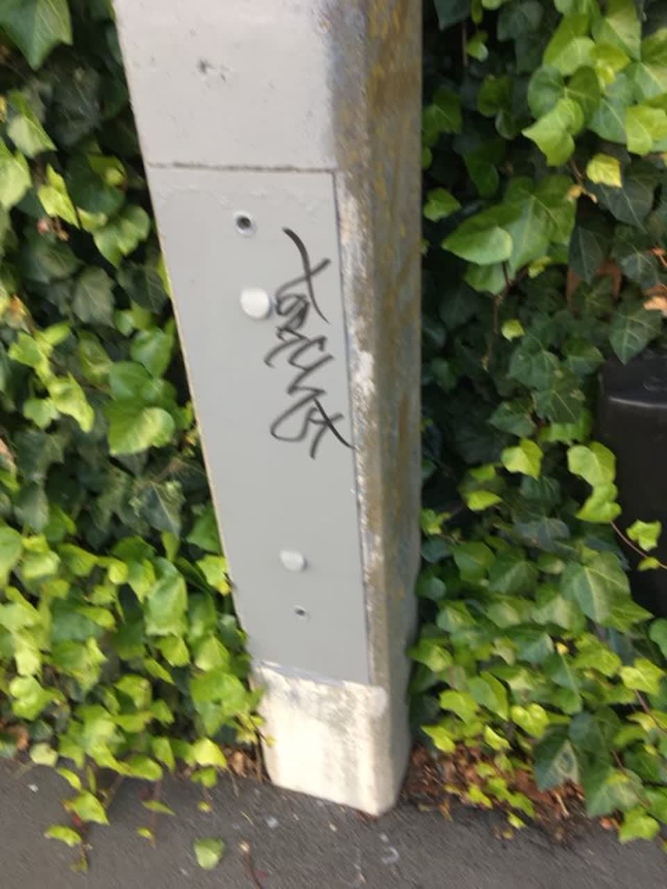 The photograph attached to this graffiti report