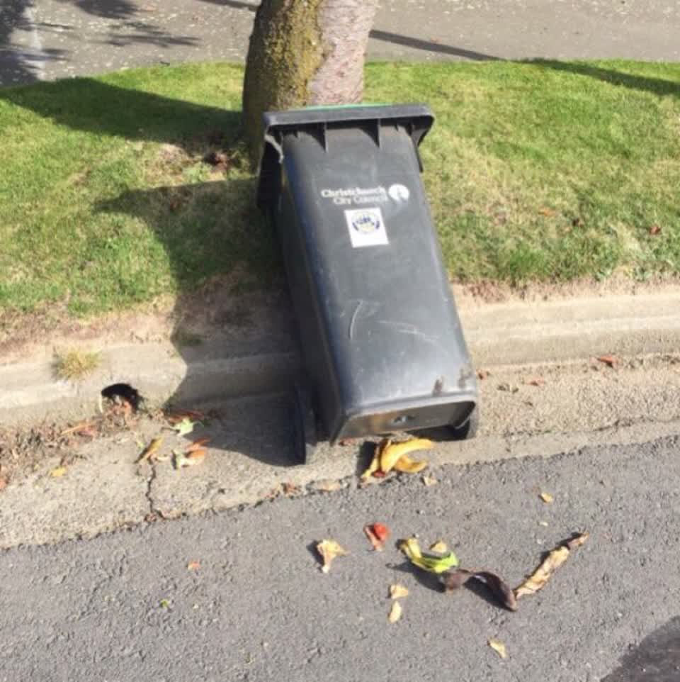 The photograph attached to this rubbish/recycling report