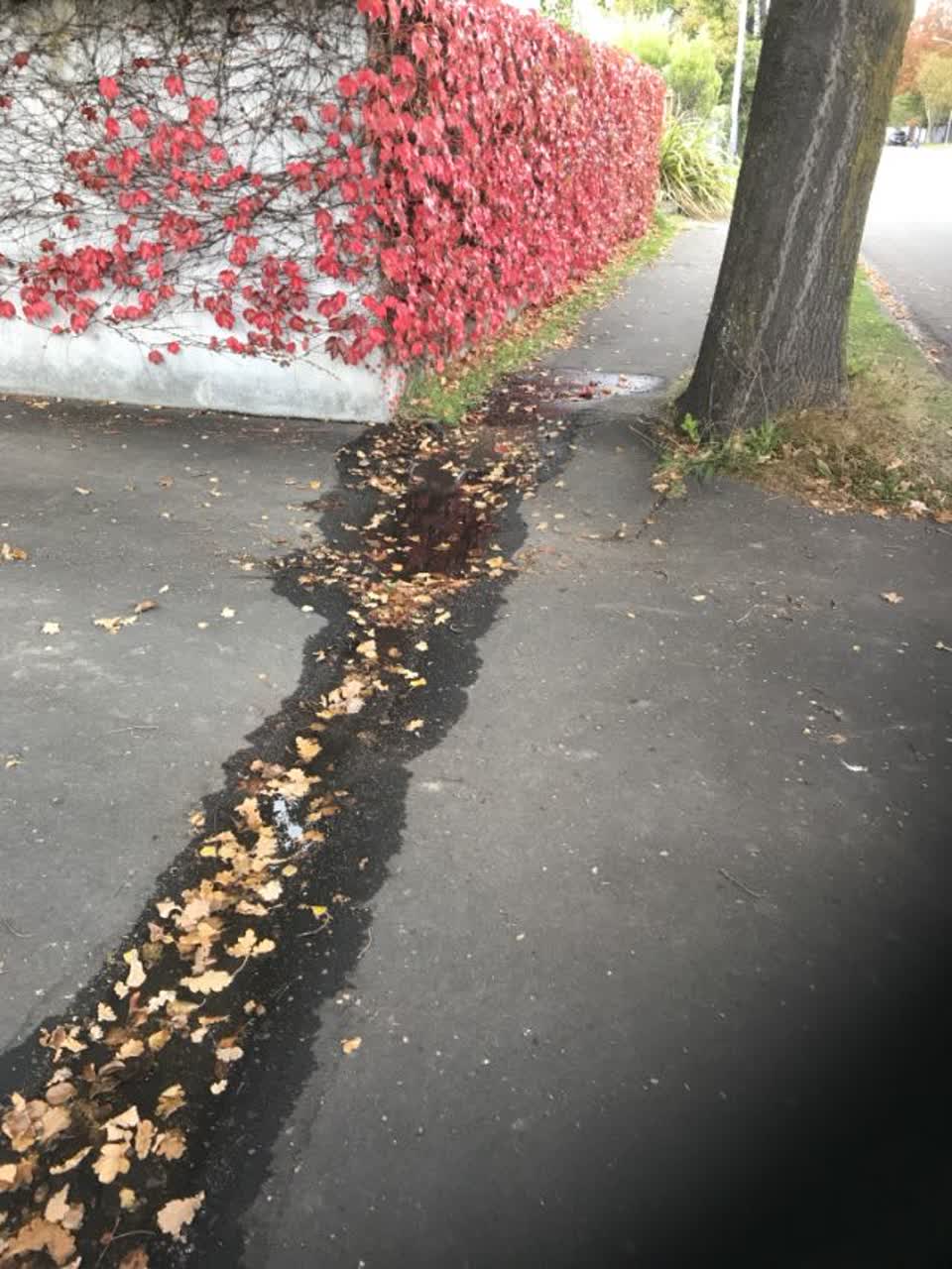 The photograph attached to this water supply report