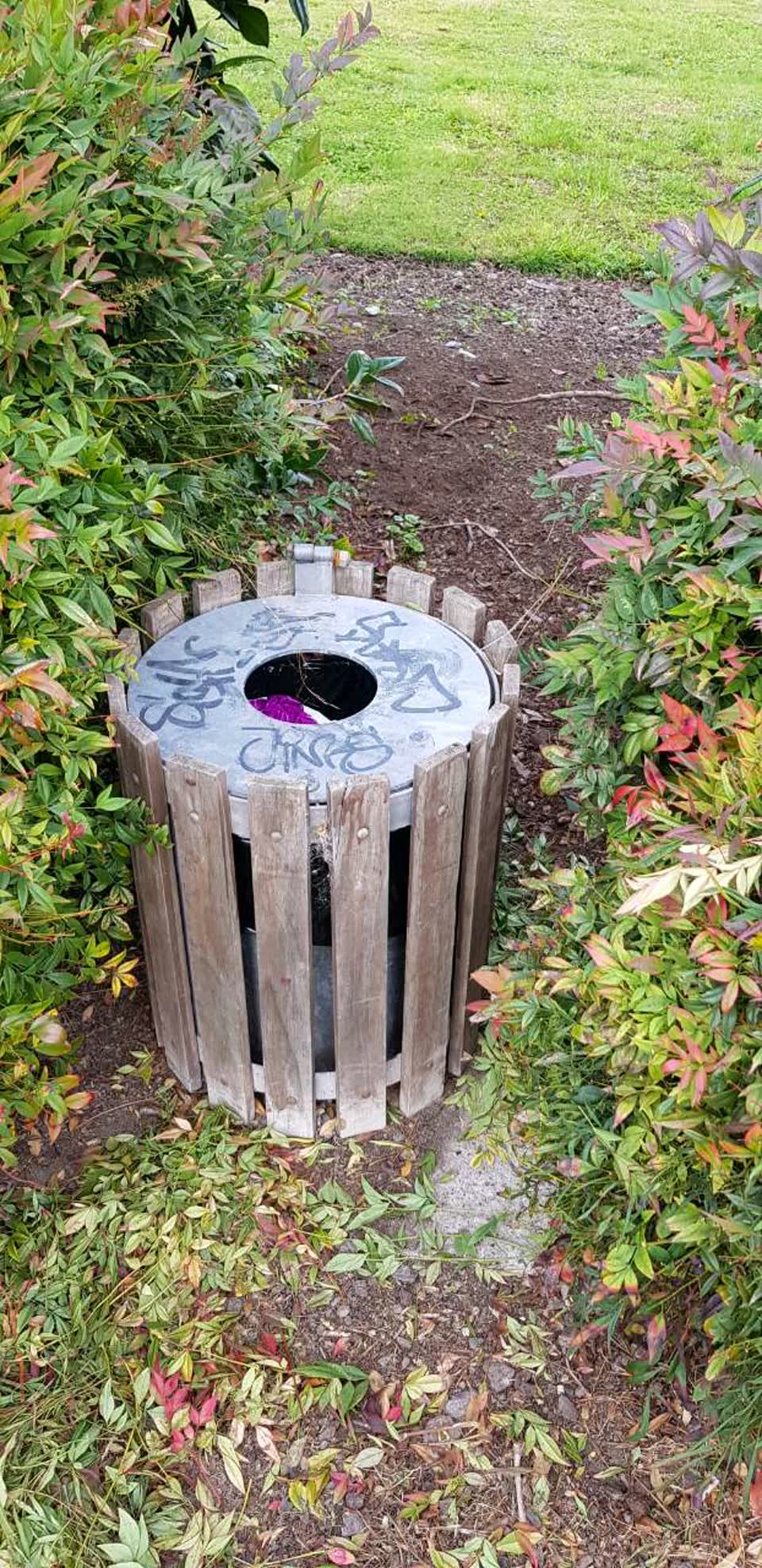 The photograph attached to this graffiti report