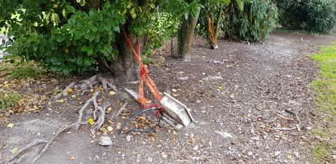 Parks, a report photo