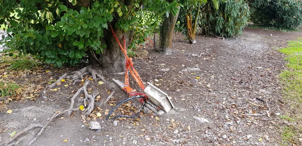The photograph attached to this parks report