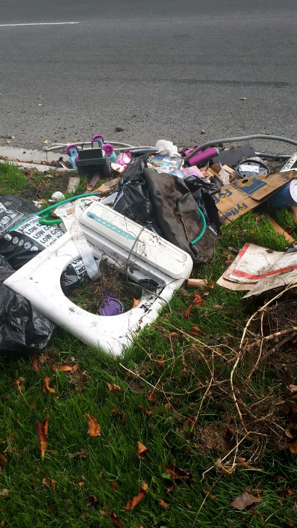 The photograph attached to this rubbish/recycling report