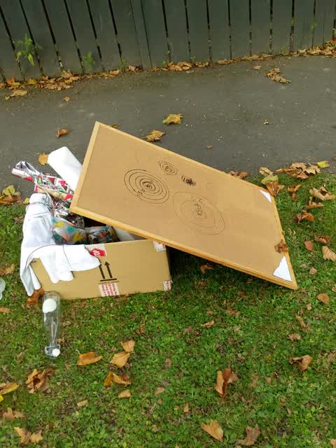 Rubbish/Recycling, a report photo