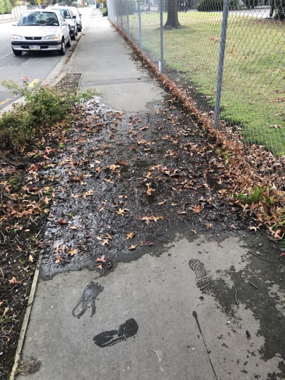 The photograph attached to this water supply report