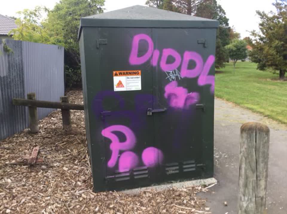 The photograph attached to this graffiti report