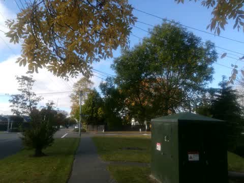 Roading/Streets, a report photo