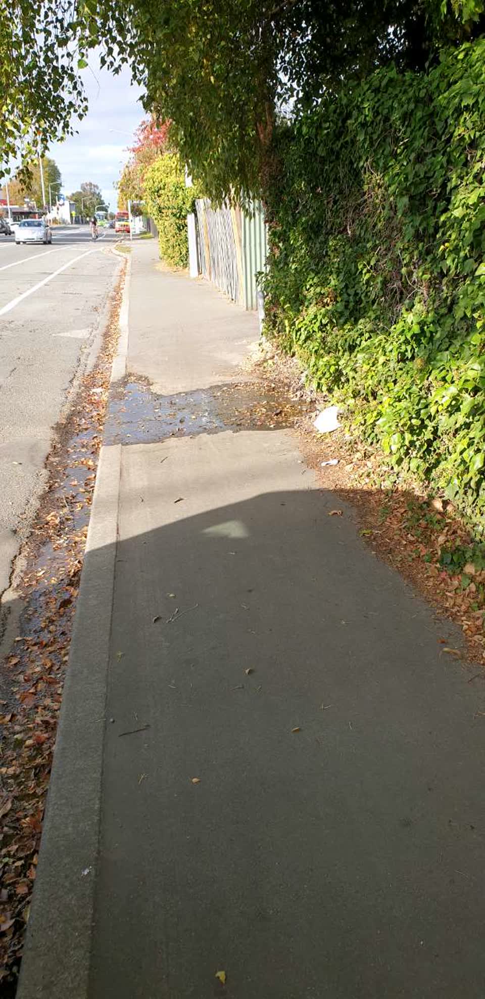 The photograph attached to this water supply report