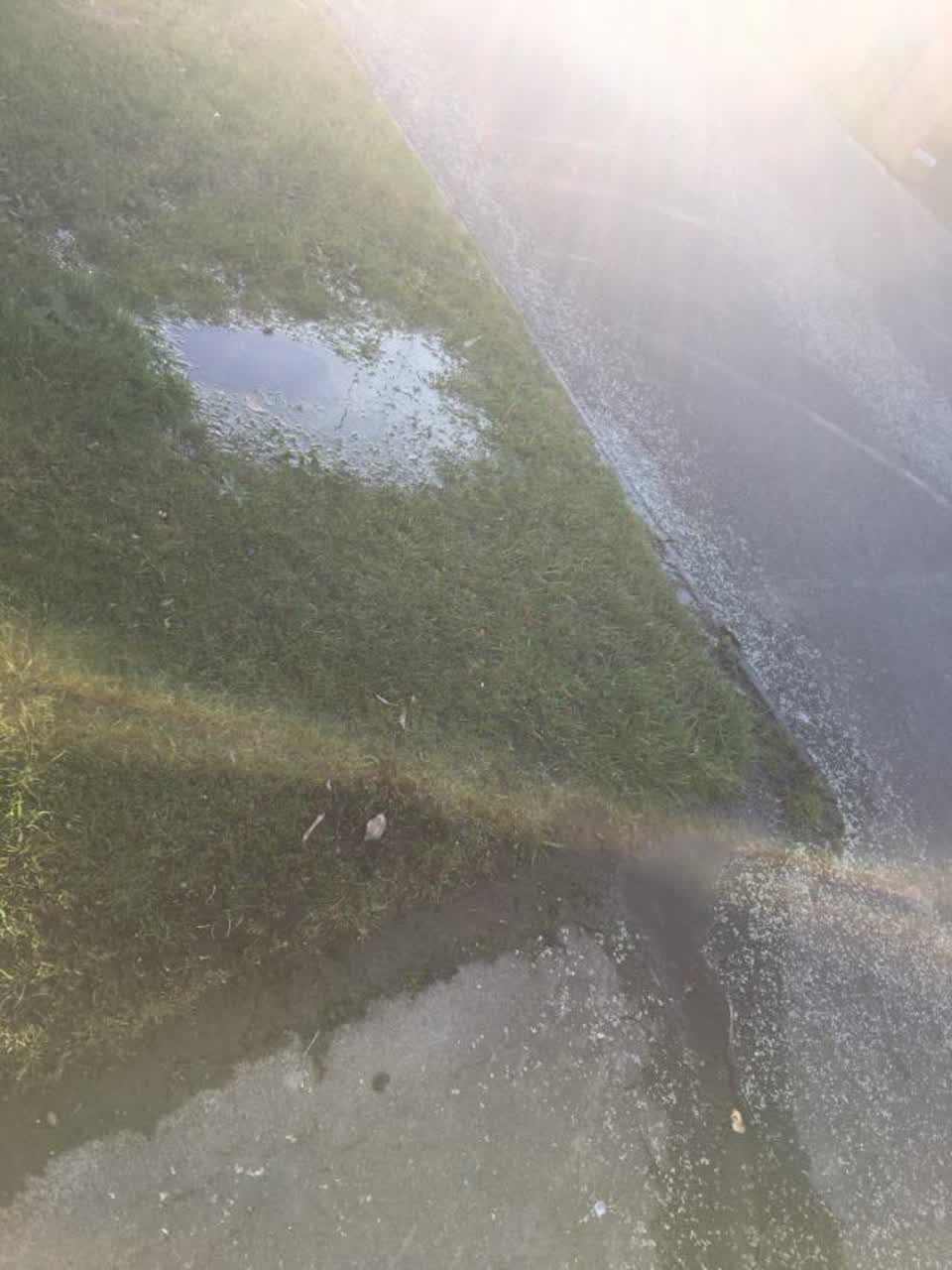The photograph attached to this water supply report