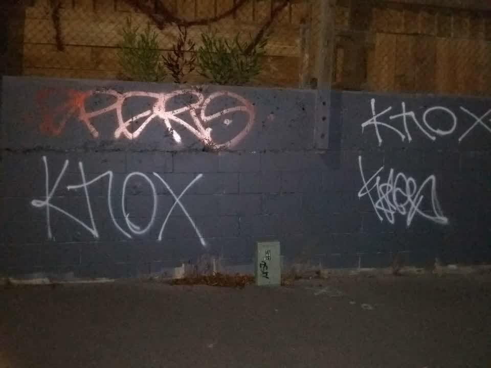 The photograph attached to this graffiti report