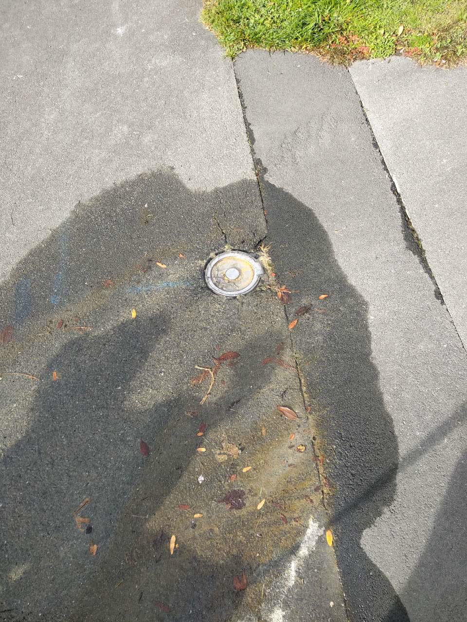 The photograph attached to this water supply report