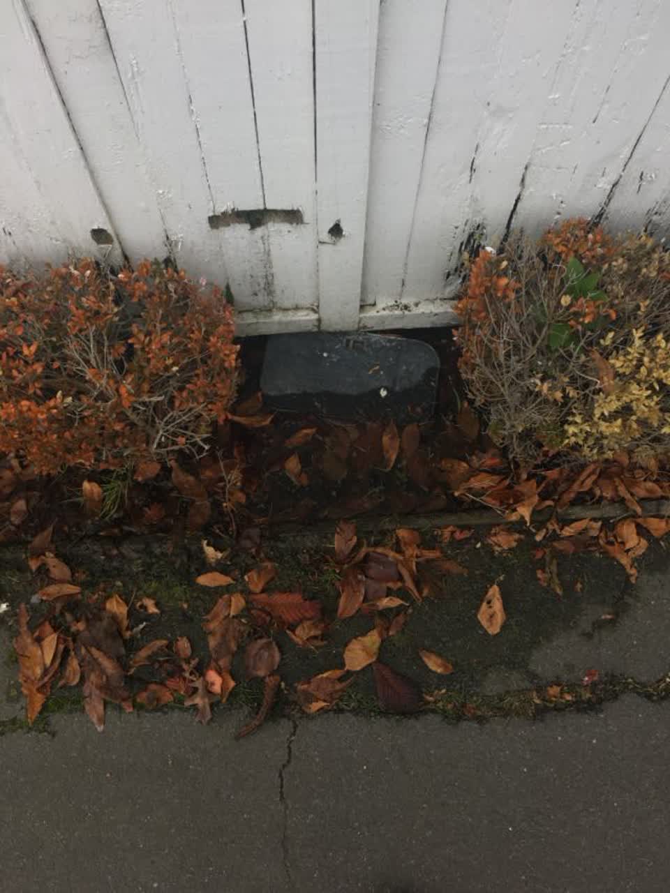 The photograph attached to this wastewater/stormwater report