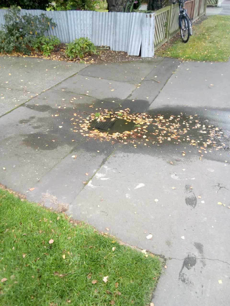 The photograph attached to this roading/streets report