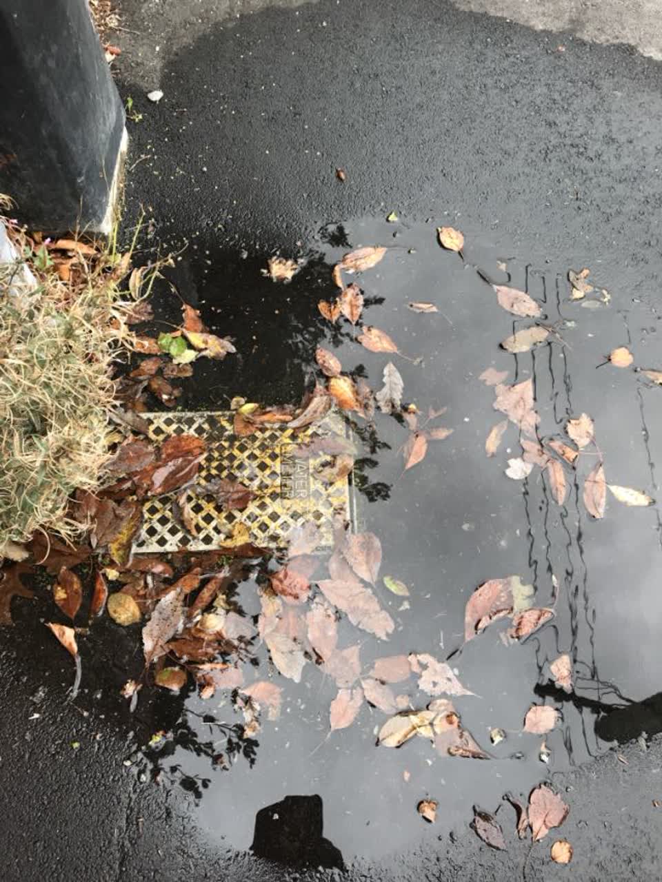 The photograph attached to this wastewater/stormwater report