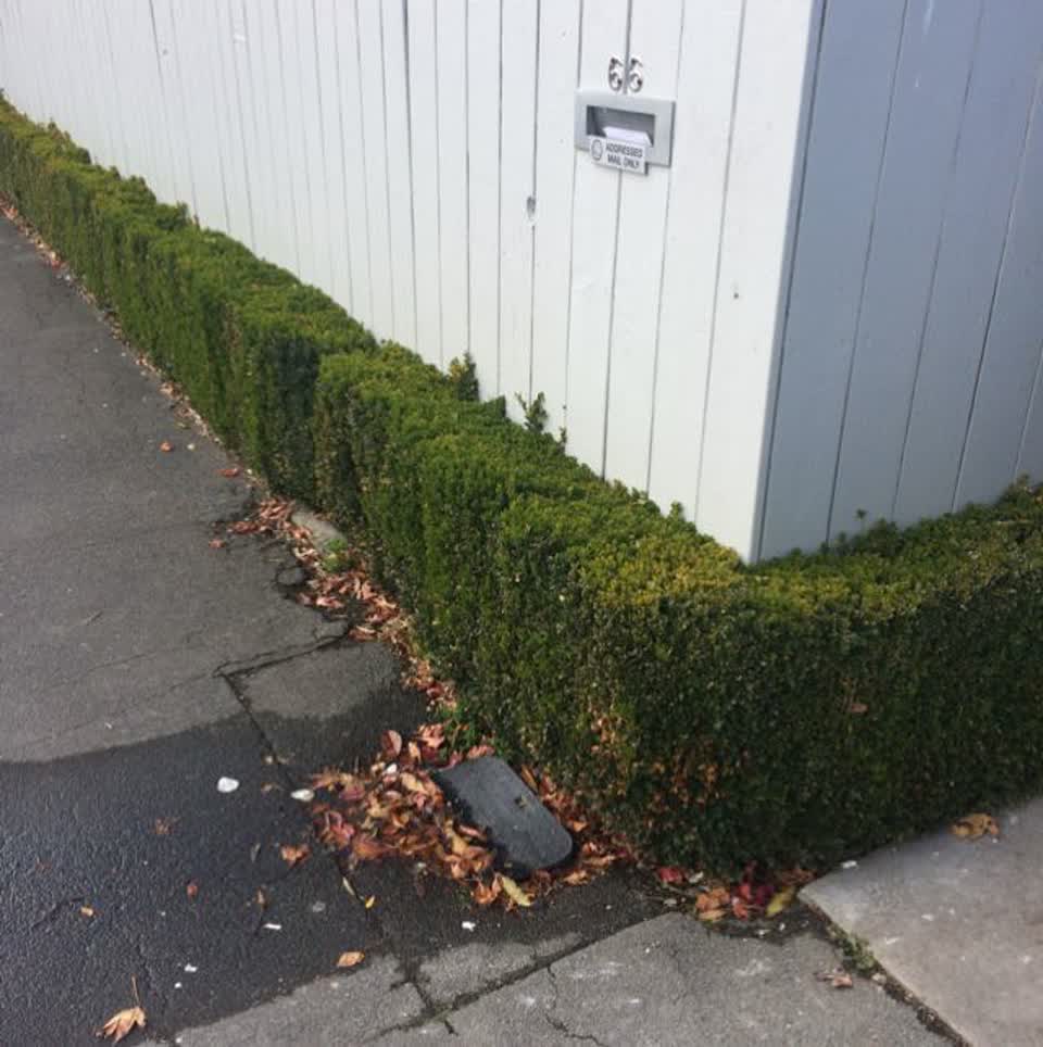 The photograph attached to this water supply report