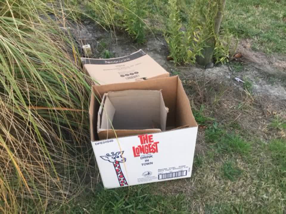 The photograph attached to this rubbish/recycling report
