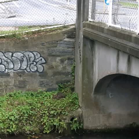 Graffiti — a report photo