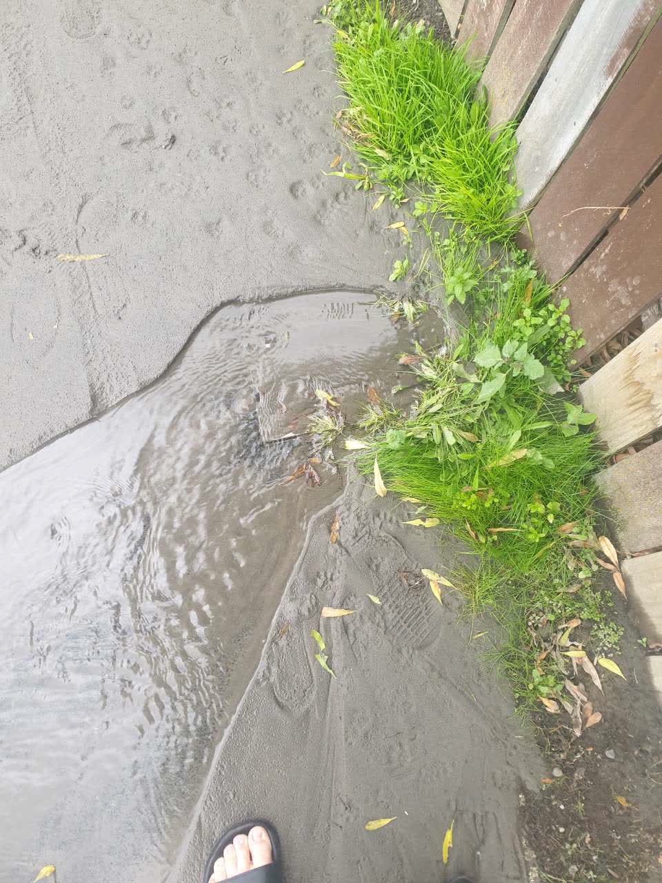 The photograph attached to this water supply report