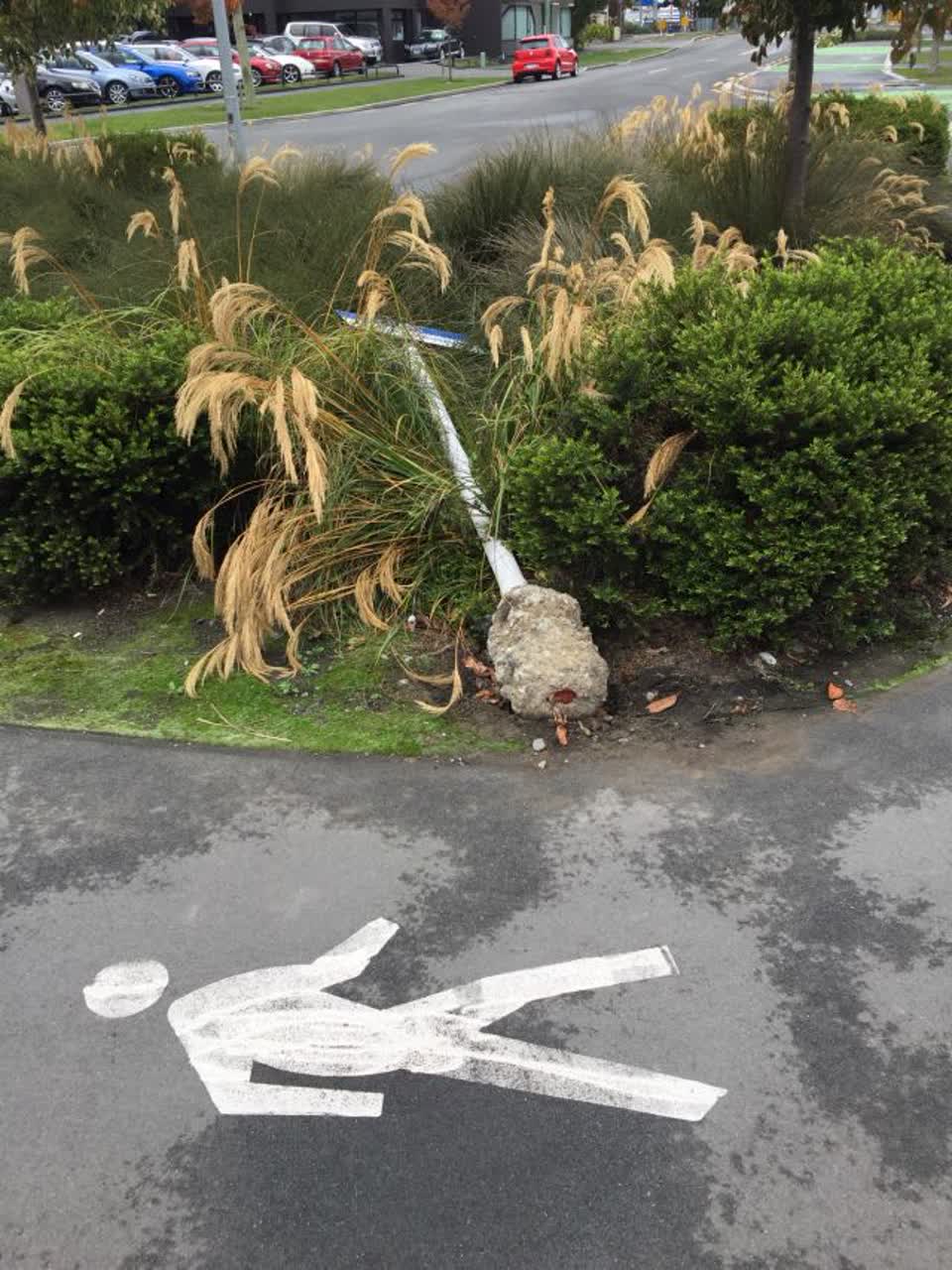 The photograph attached to this roading/streets report