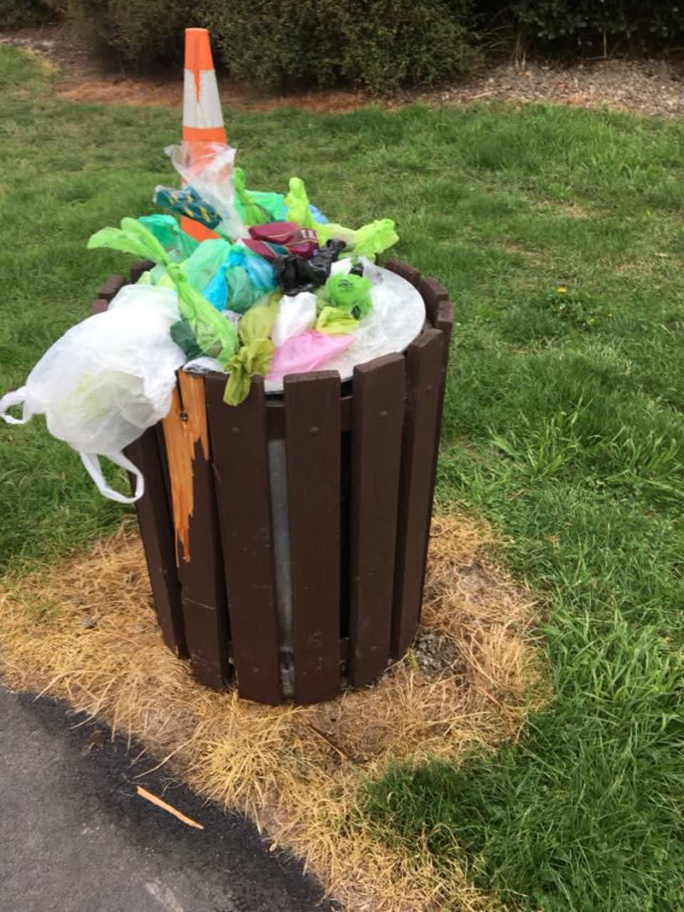 The photograph attached to this rubbish/recycling report