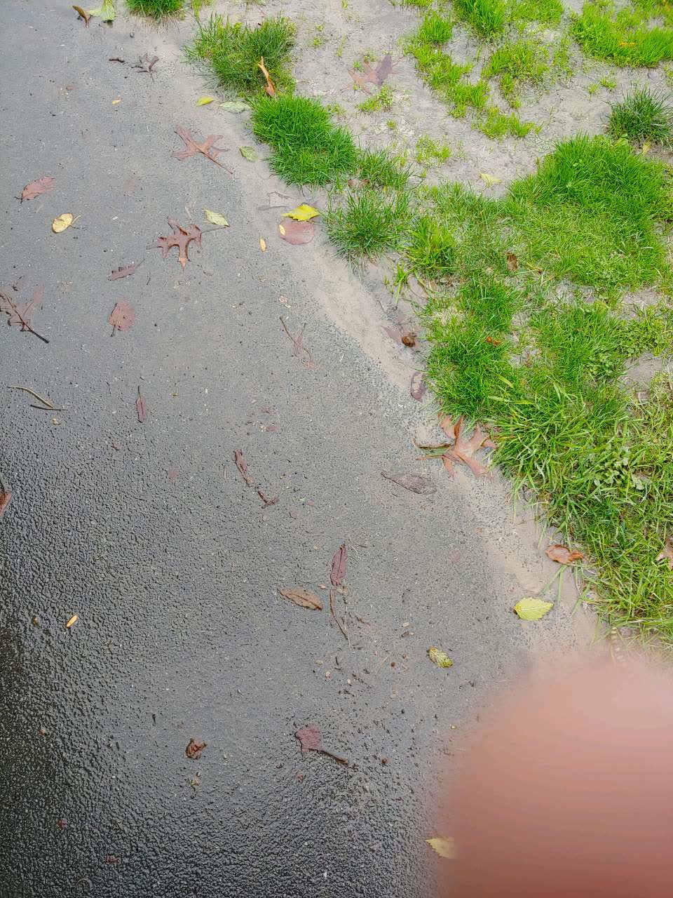 The photograph attached to this water supply report