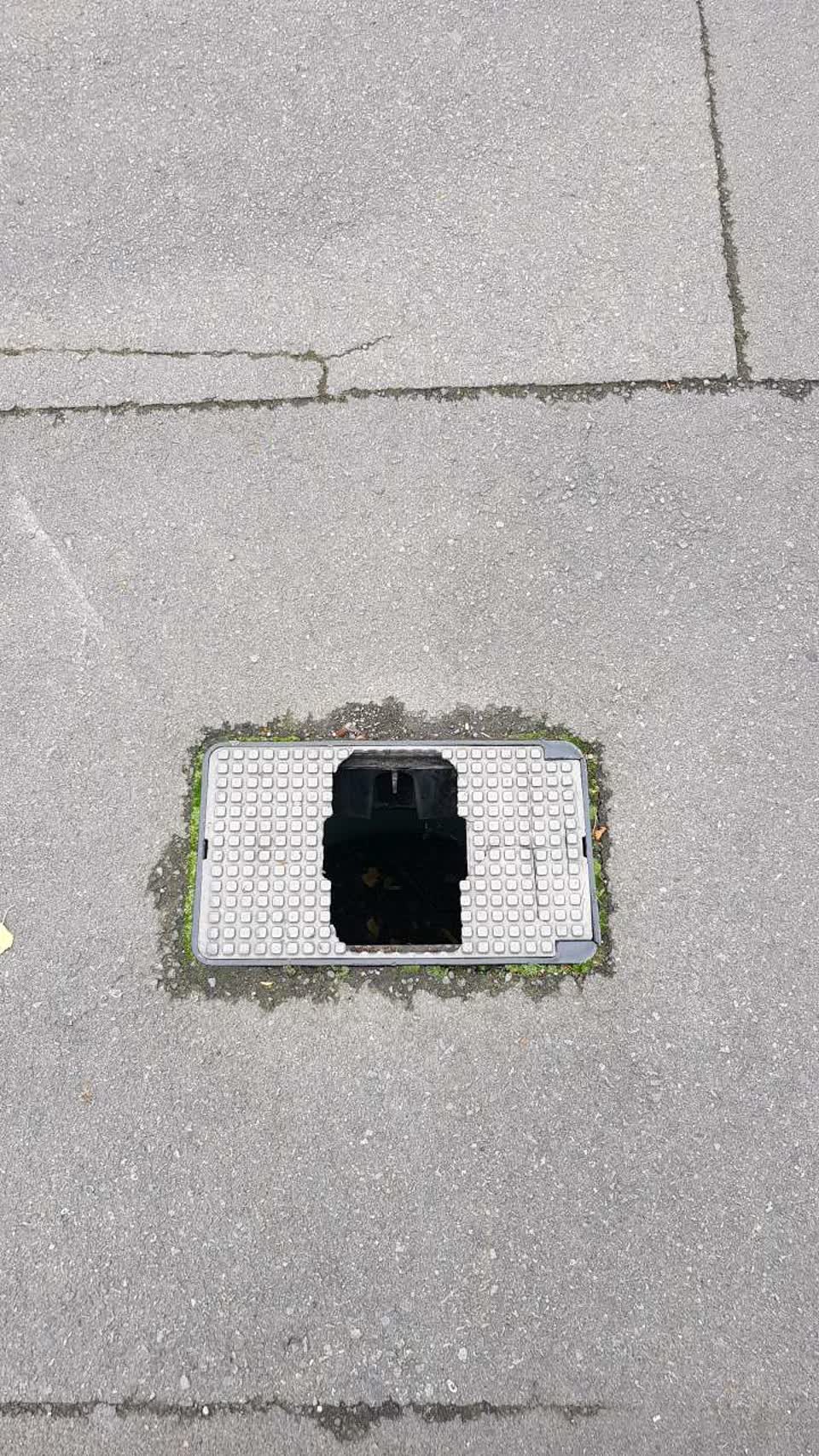 The photograph attached to this water supply report