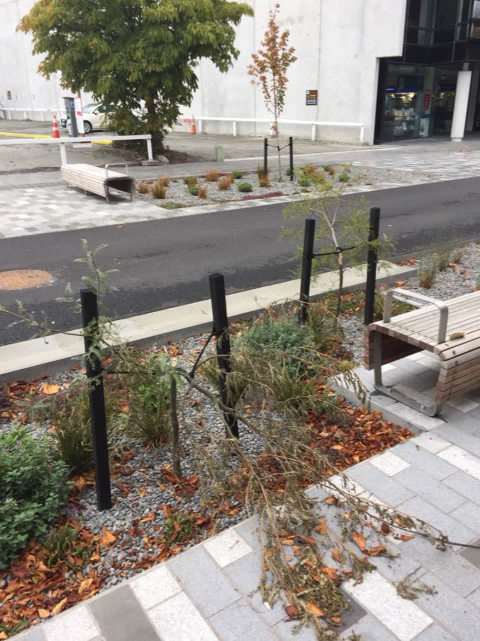 The photograph attached to this parks report
