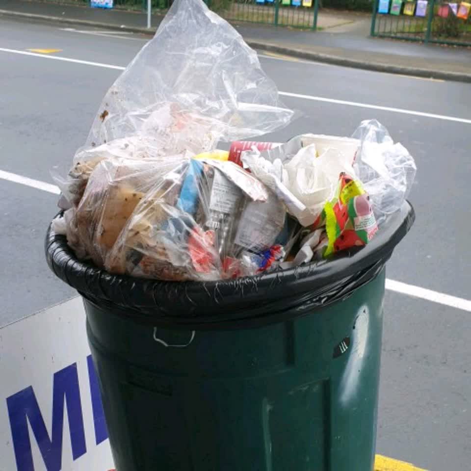 The photograph attached to this rubbish/recycling report
