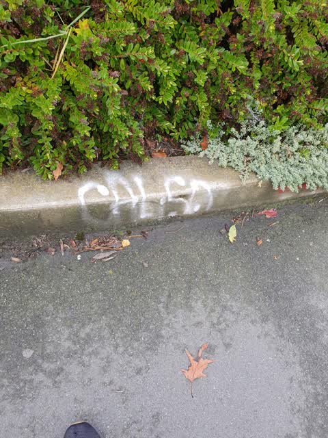 Graffiti, a report photo