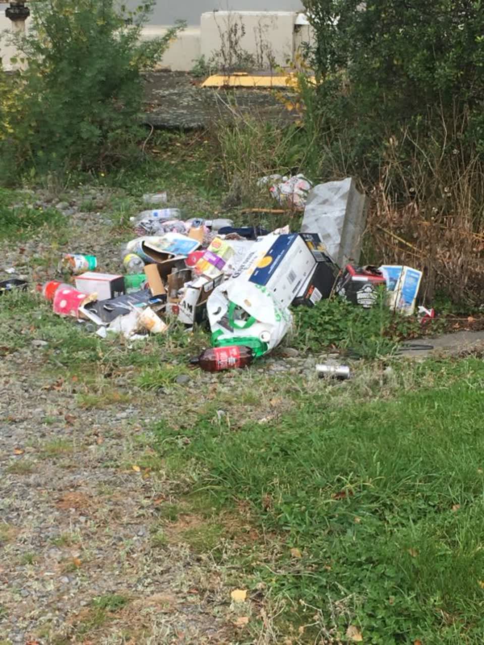 The photograph attached to this rubbish/recycling report