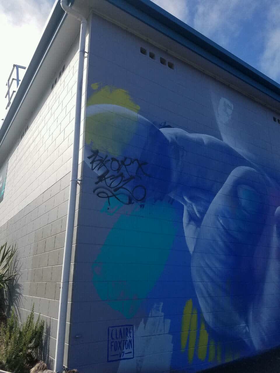 The photograph attached to this graffiti report