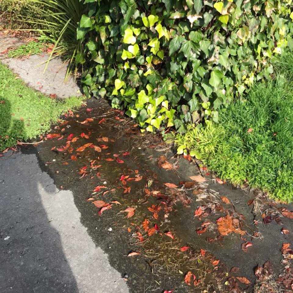 The photograph attached to this wastewater/stormwater report
