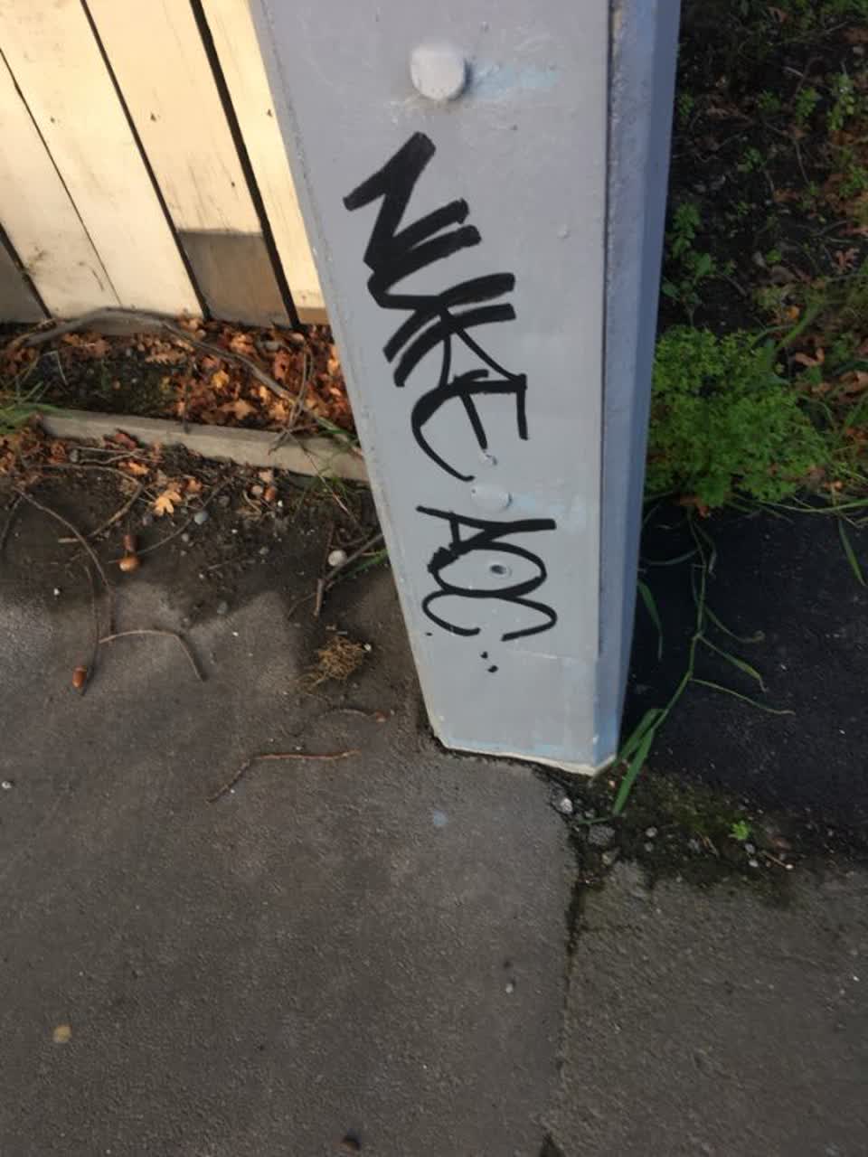 The photograph attached to this graffiti report