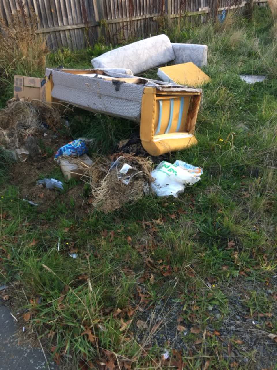 The photograph attached to this rubbish/recycling report