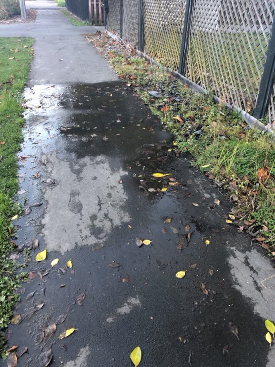 The photograph attached to this water supply report