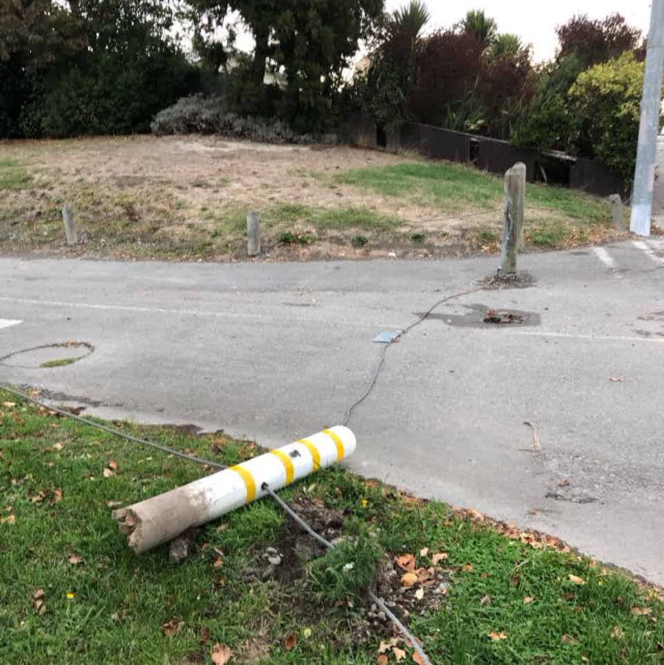 The photograph attached to this parks report