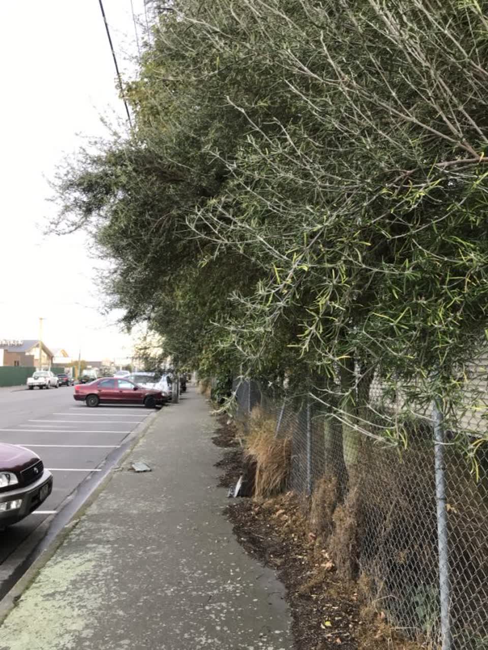 The photograph attached to this roading/streets report