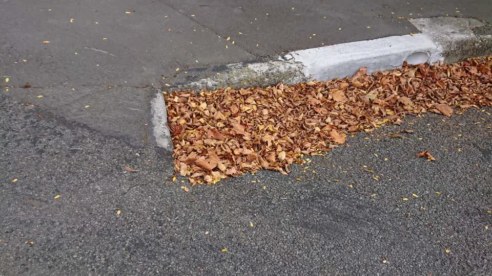 The photograph attached to this wastewater/stormwater report