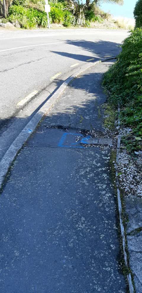 Roading/Streets, a report photo