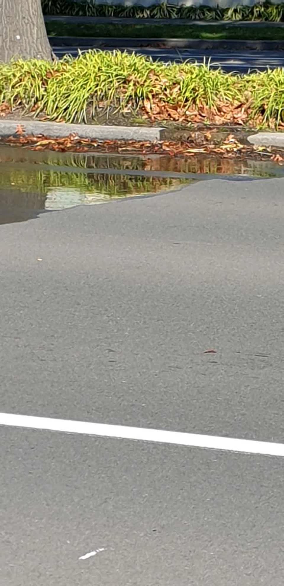 The photograph attached to this water supply report