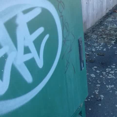 Graffiti, a report photo