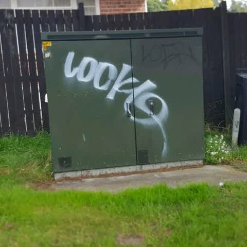 Graffiti, a report photo